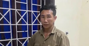 Phân tích và bình luận